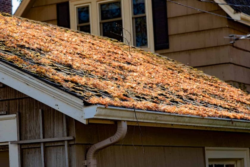 An image of fallen Autumn leaves on the shingled roof of a home with rain gutters.