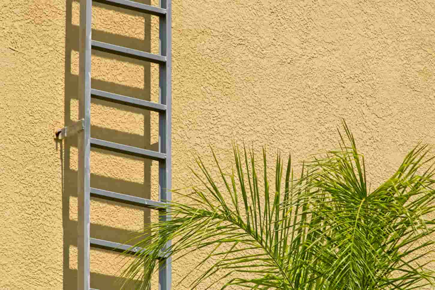 An image of a Minimalist view of a yellow stucco wall with a metal fire escape ladder going up the side along with some palm fronds.