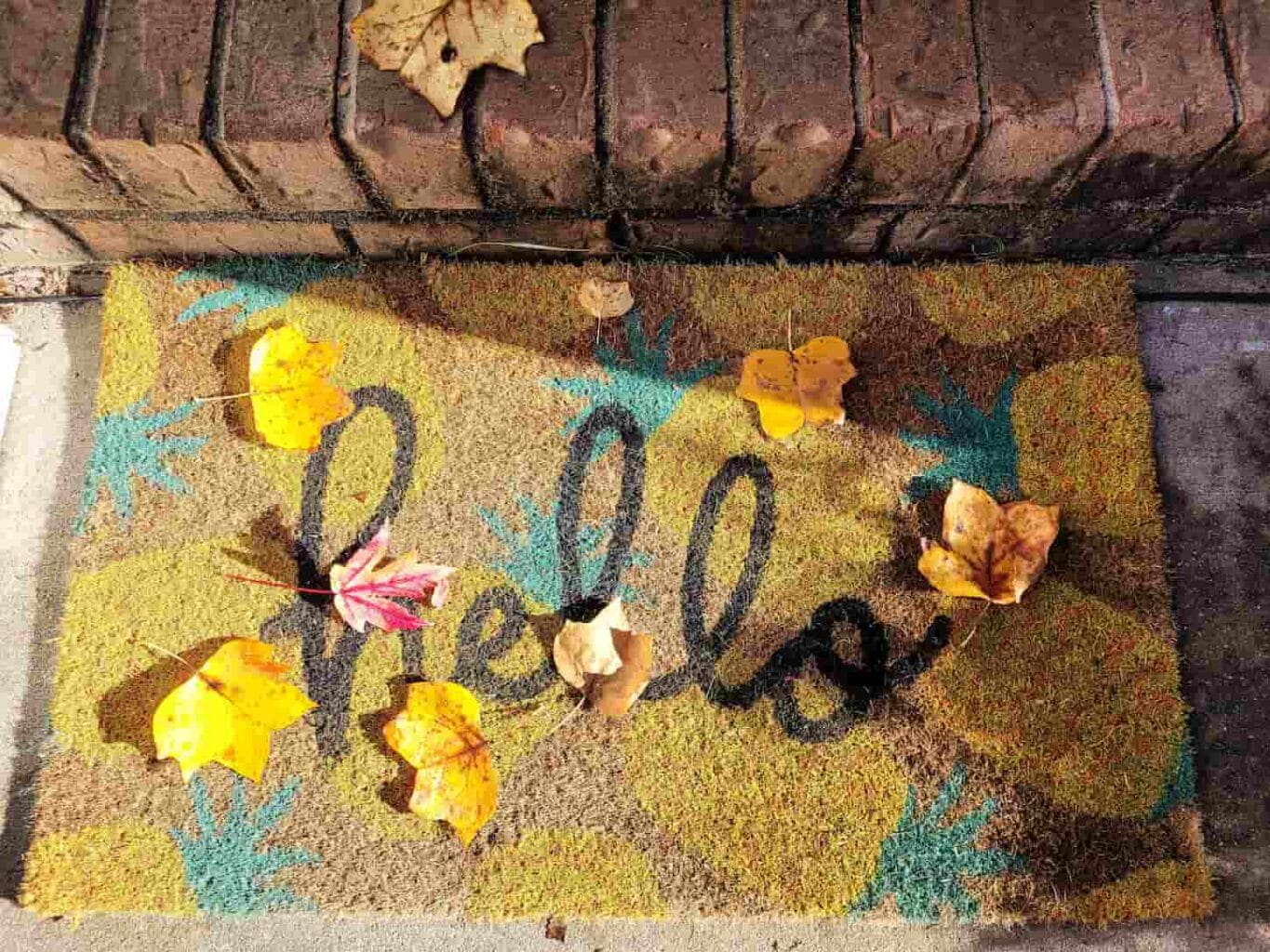 An image of an Outdoor rug with wild words saying hello.