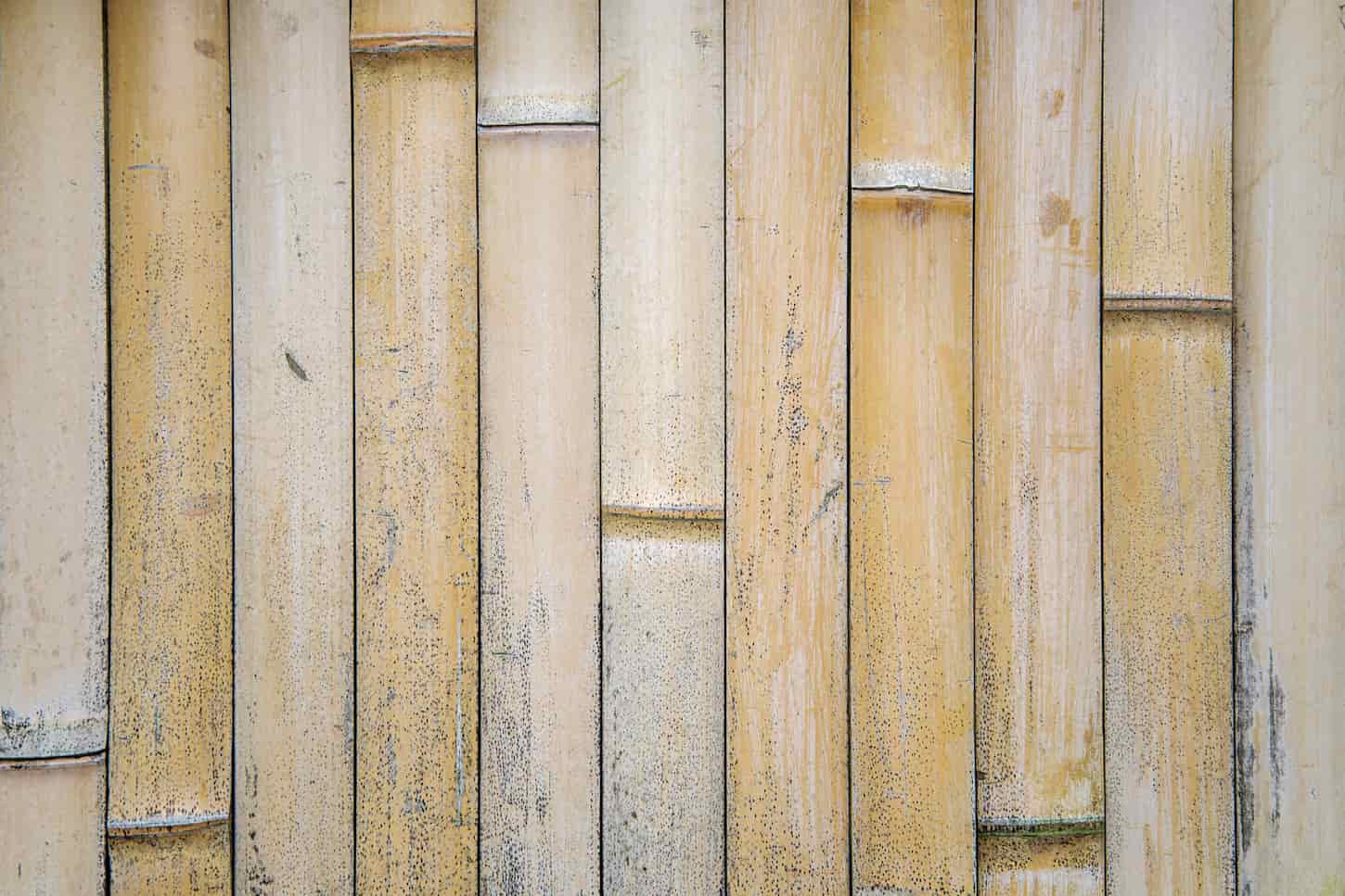 An image of a Closeup view of detail from the bamboo fence.