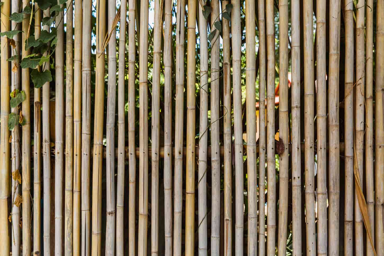 How Long Does A Bamboo Fence Last?