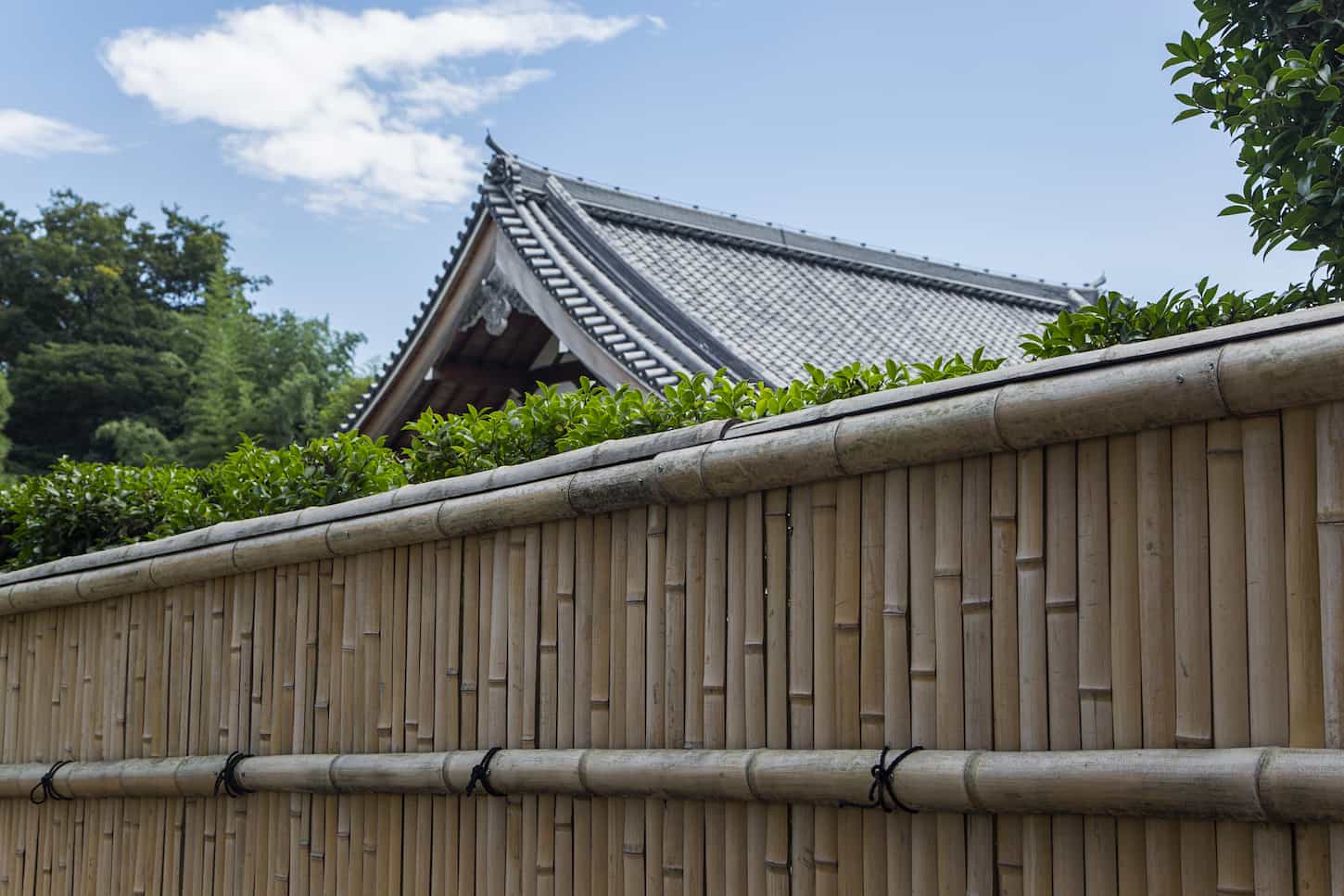 An image of a Closeup view of a detail from the bamboo fence in Arashiyama, Kyoto, Japan.