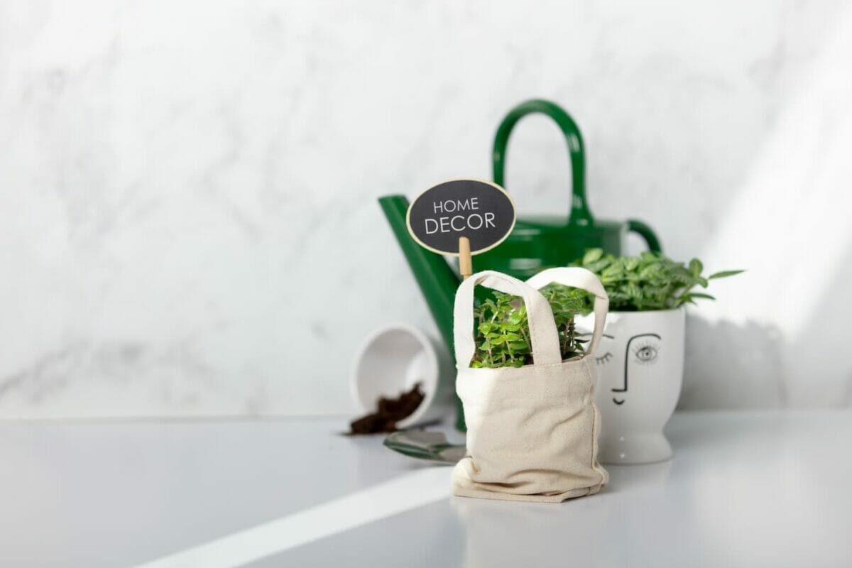 An image of Baby plants, a water can, and garden accessories against a white marble wall. Home decor, zero waste, eco-friendly sustainable lifestyle concept.